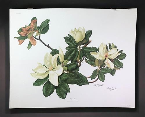 Art & Collectibles > Prints > Lithographs - Maryrose Wampler, Magnolia, Signed Print, 28x22 Wall Art, Plate 12 by The Old...