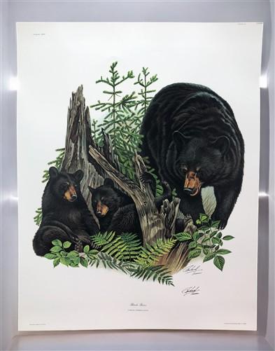 Art & Collectibles > Prints > Lithographs - Richard Timm, Black Bear, Signed Print, 28x22 Wade Collection, Plate 24 by The...