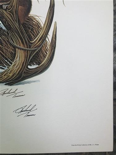 Art & Collectibles > Prints > Lithographs - Richard Timm, Porcupine, Signed Print, 28x22 Wade Collection, Plate 35 by The...