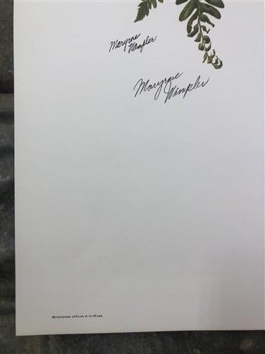 Art & Collectibles > Prints > Lithographs - Maryrose Wampler, Trailing Arbutus, Signed Print, 28x22, Wall Art, Plate 2 by...