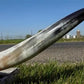 Home & Living > Home Decor > Wall Decor > Wall Hangings - 5'11" Longhorn Mounted Cattle Horns Steer Bull Western Texas Ran...