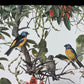 Art & Collectibles > Prints - Axel Amuchastegui, Blue and Yellow Tanager, 20.75x14 South American Bird Print F by The Old...