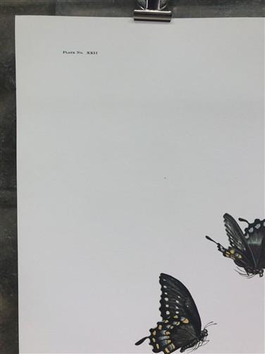 Art & Collectibles > Prints > Lithographs - Maryrose Wampler, Wild Rose, Signed Print, 28x22 Wall Art, Plate 22 by The Old...